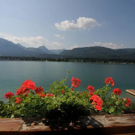 酒店 加尼布兴格尔酒店 Saint Wolfgang